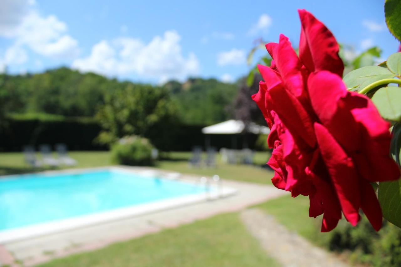 Bed and Breakfast Il Casolare Penna Экстерьер фото