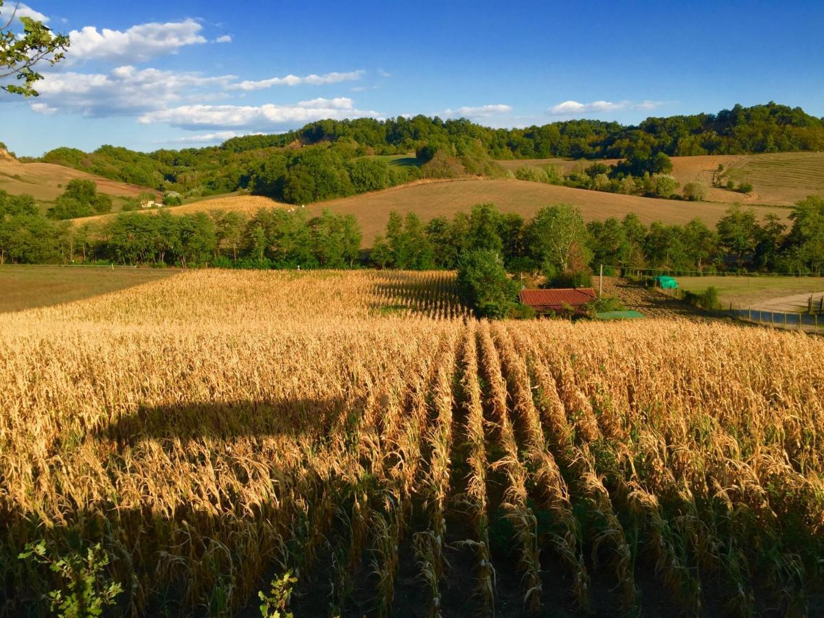 Bed and Breakfast Il Casolare Penna Экстерьер фото