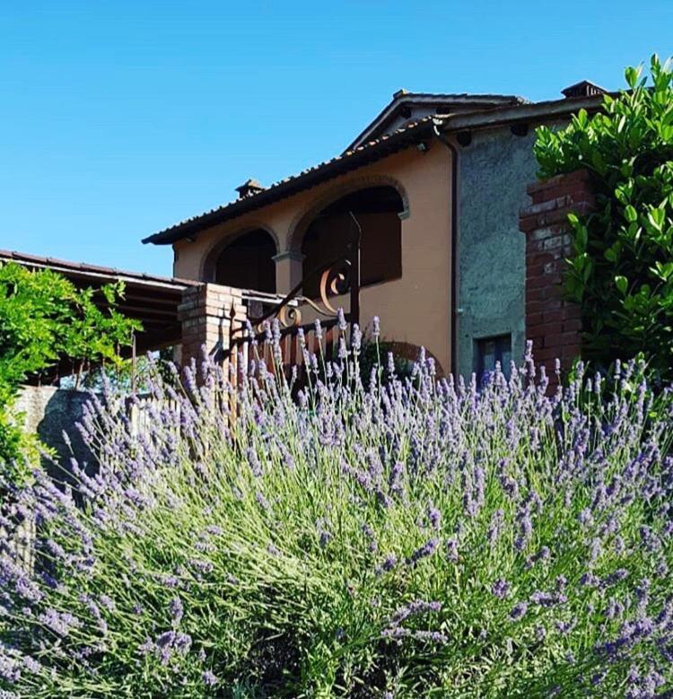 Bed and Breakfast Il Casolare Penna Экстерьер фото