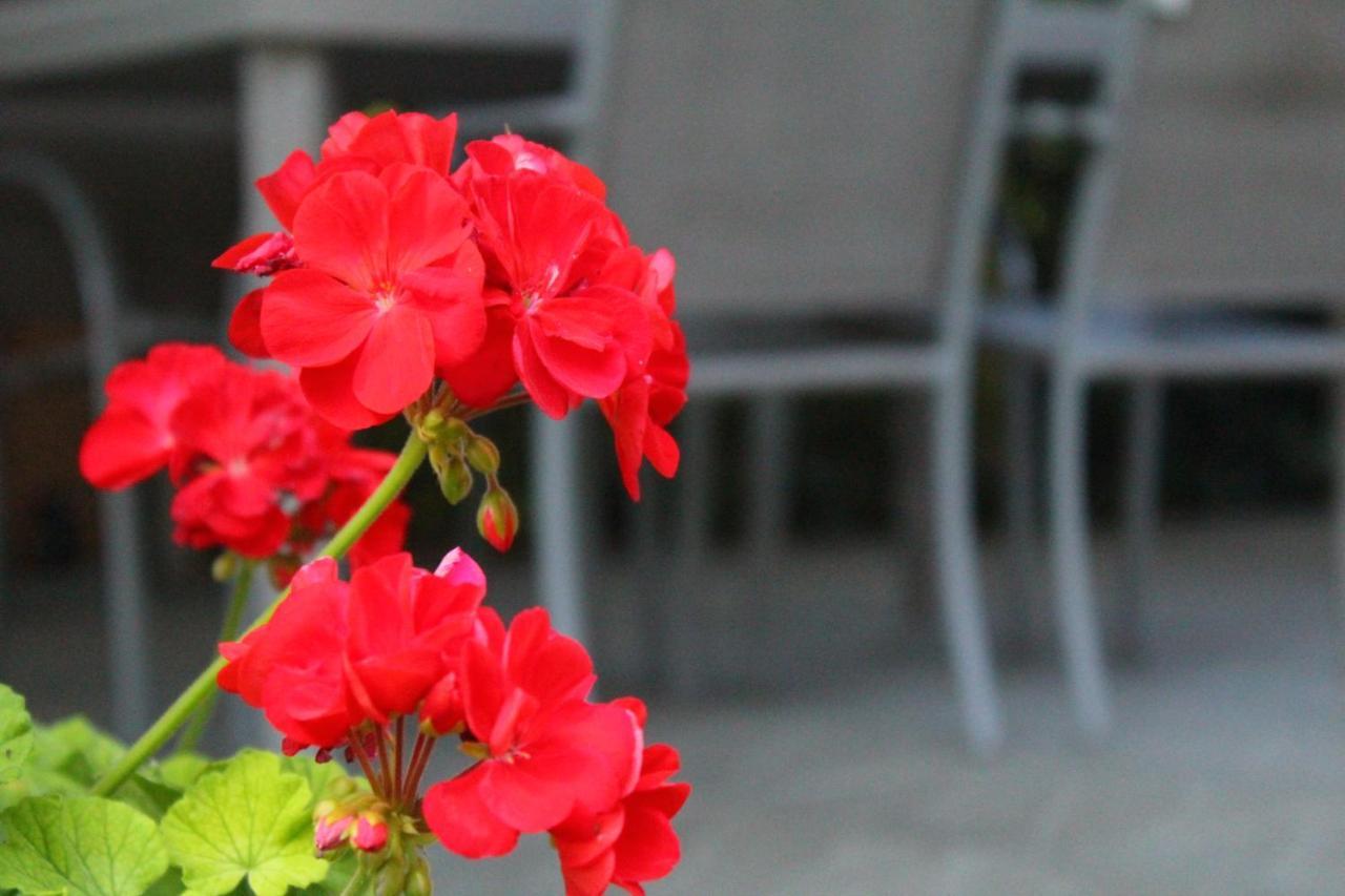 Bed and Breakfast Il Casolare Penna Экстерьер фото