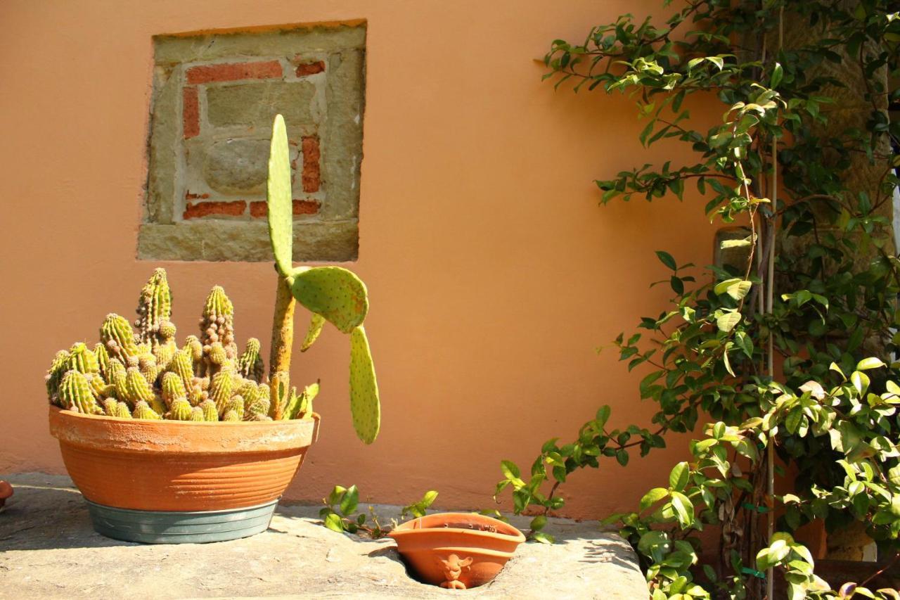 Bed and Breakfast Il Casolare Penna Экстерьер фото